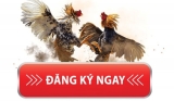 Đăng ký SV388 siêu đơn giản với 3 bước dành cho người mới
