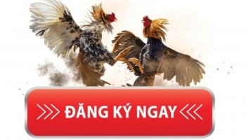 Đăng ký SV388 siêu đơn giản với 3 bước dành cho người mới
