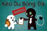 Cách nhận biết kèo dụ học lỏm từ cao thủ cá độ bóng đá